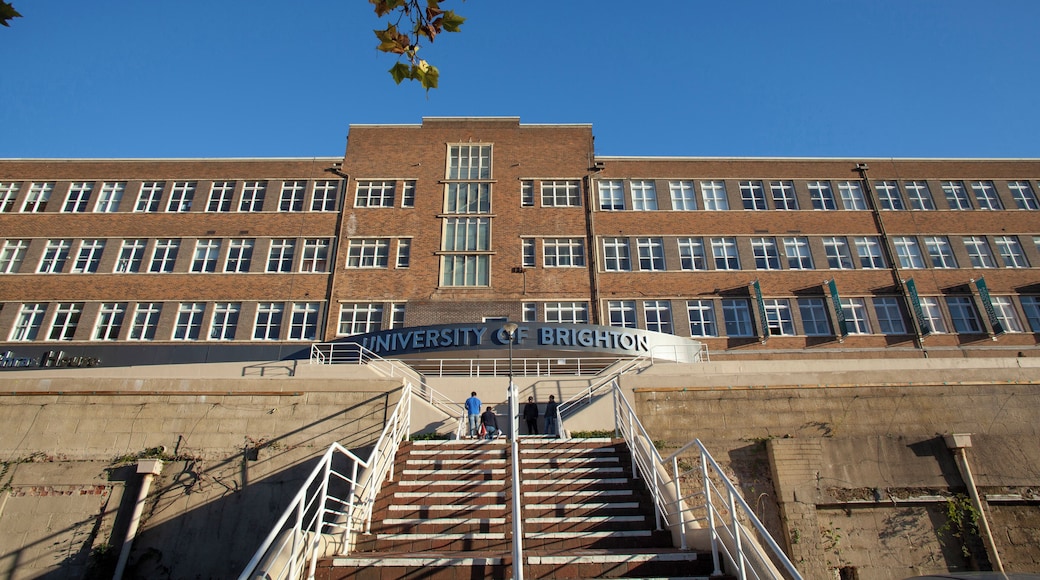 Brighton universitet