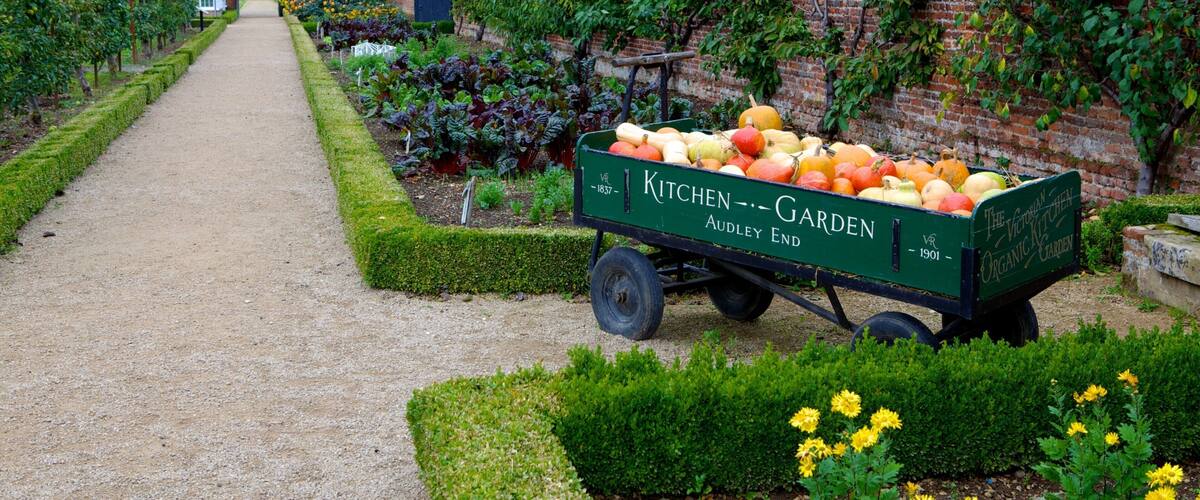 オードリー エンド ハウス どの含み 食べ物, 花 と 公園
