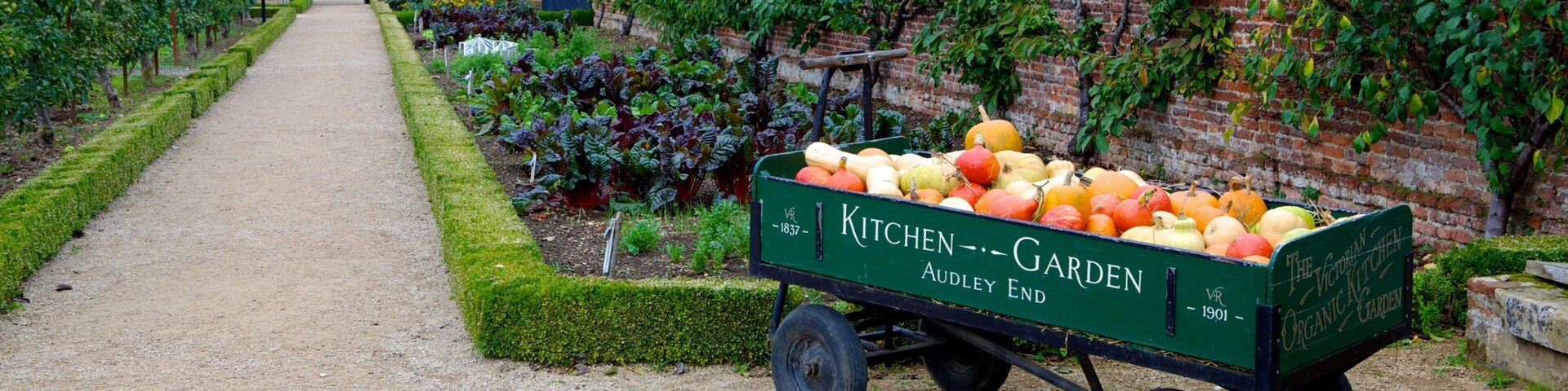 Audley End House which includes flowers, a park and food