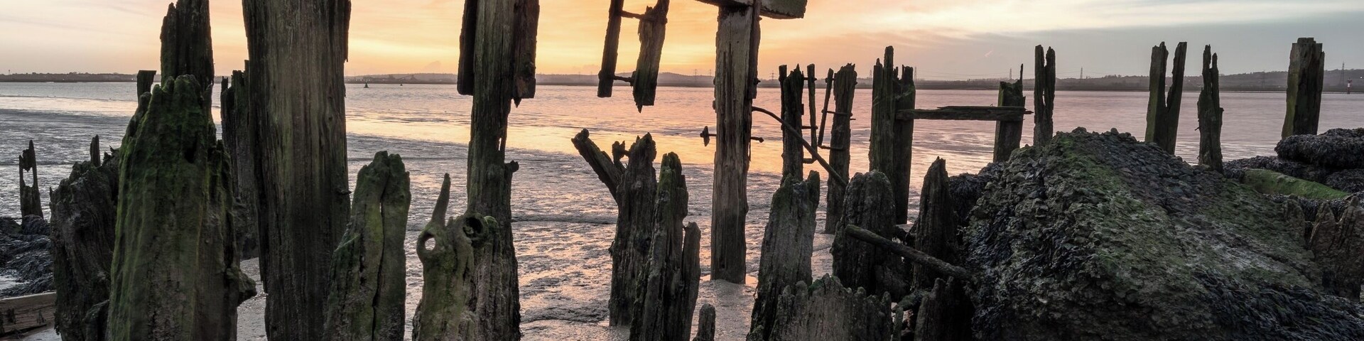 The old jetty is located west of Coalhouse Fort. You need to be aware of muddy surface under foot can be a very soft.