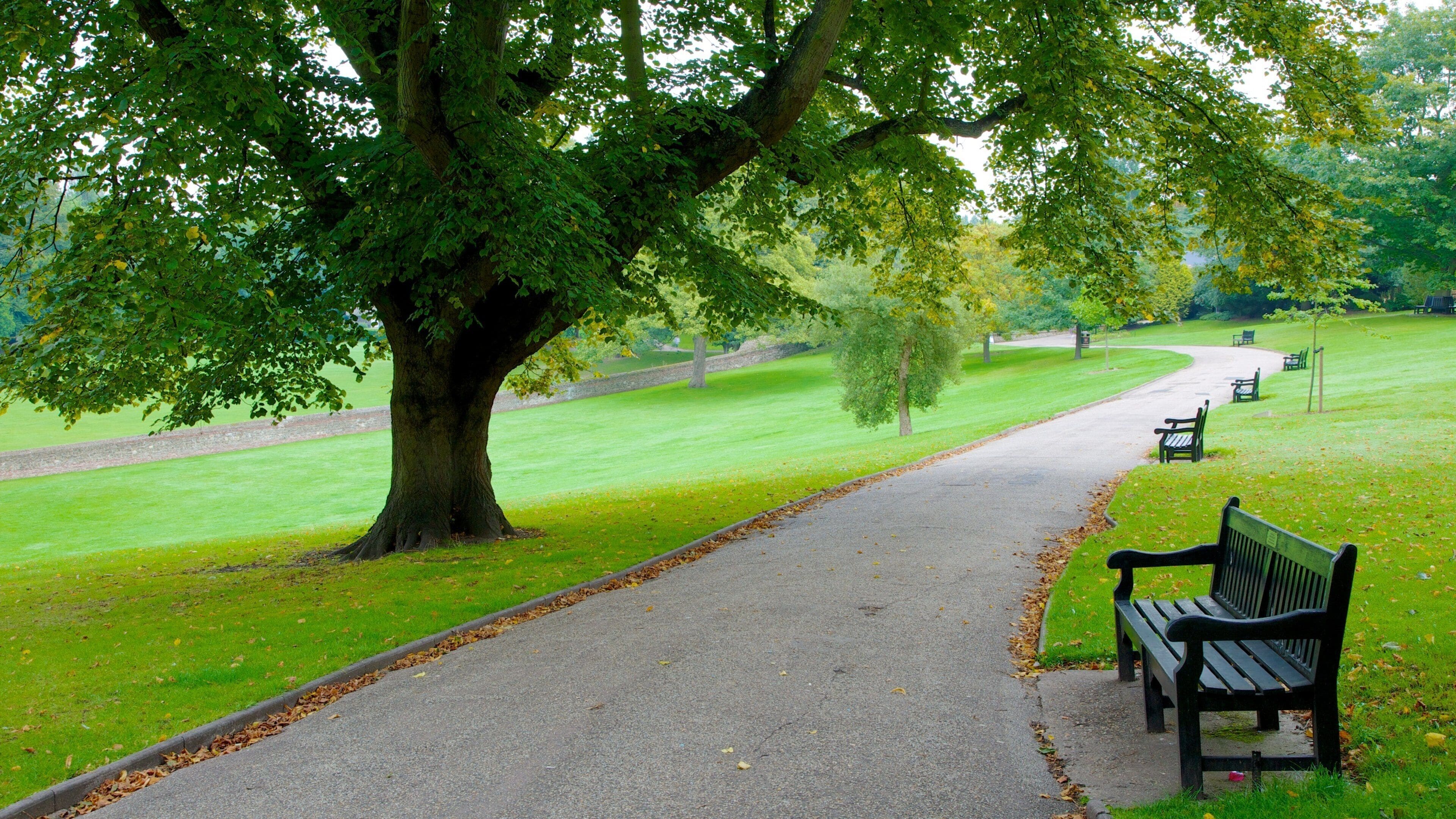 Colchester Castle Park featuring a park