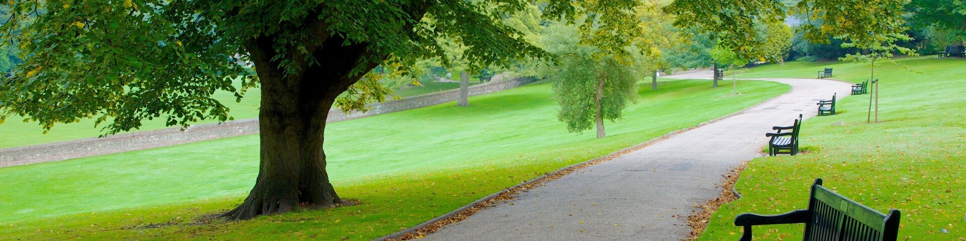 科尔切斯特城堡公园