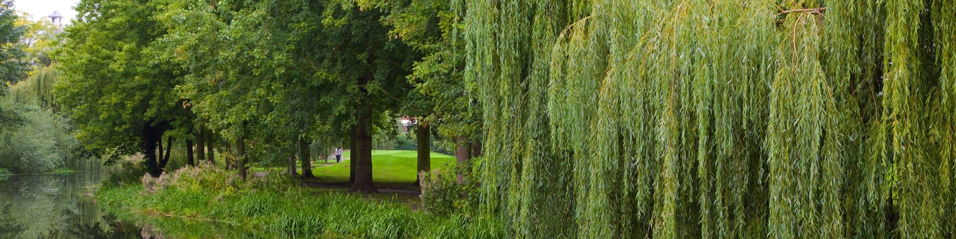 Colchester Castle Park showing a pond and a park