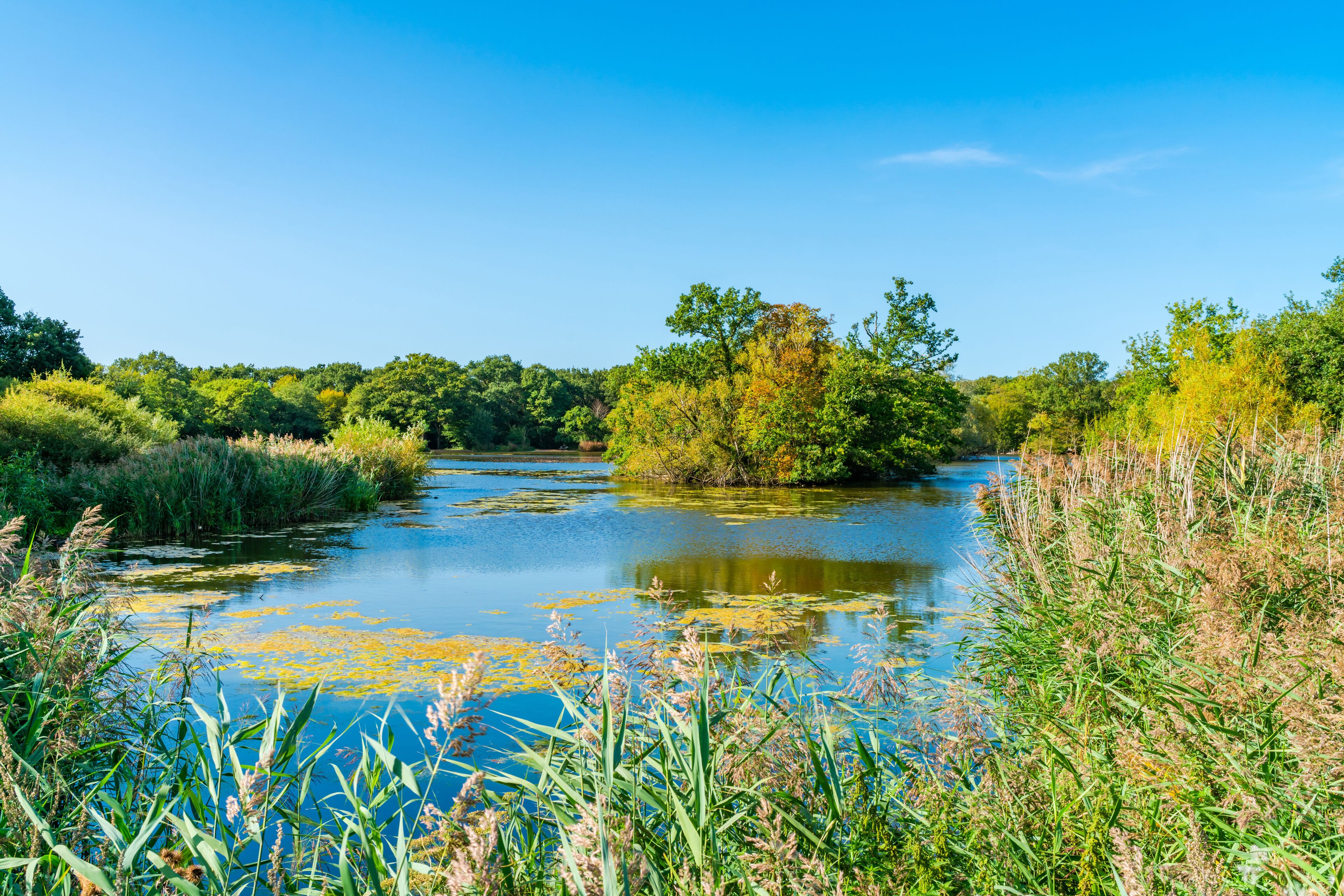 Connaught Water lake