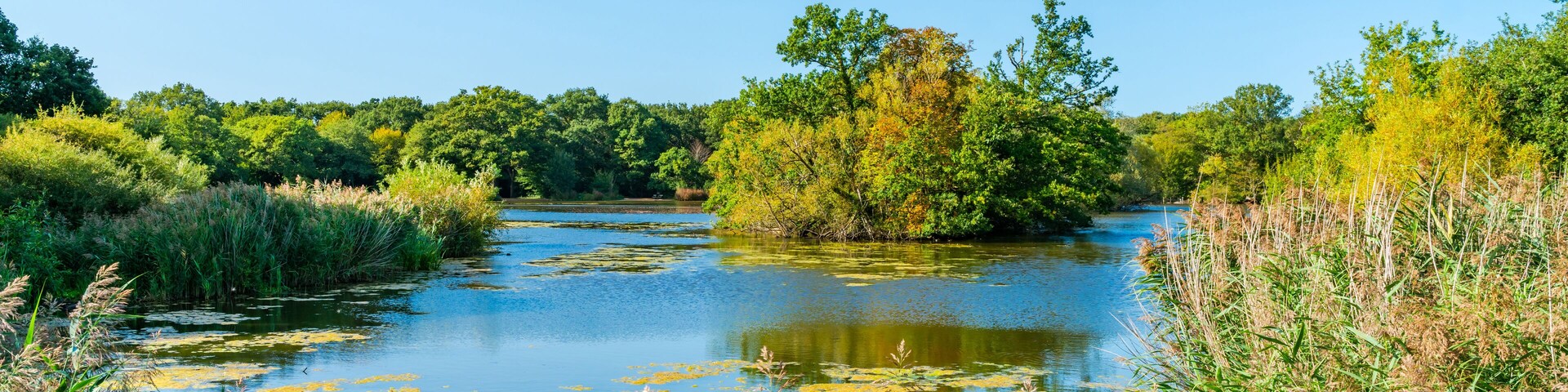 Connaught Water lake