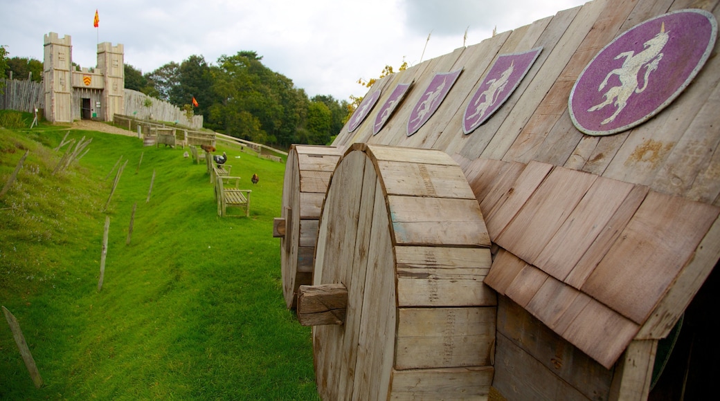 Mountfitchet Castle som inkluderer palass og kulturarv