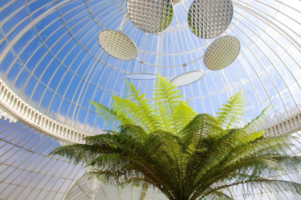 Botanic Gardens mettant en vedette vues intérieures et parc