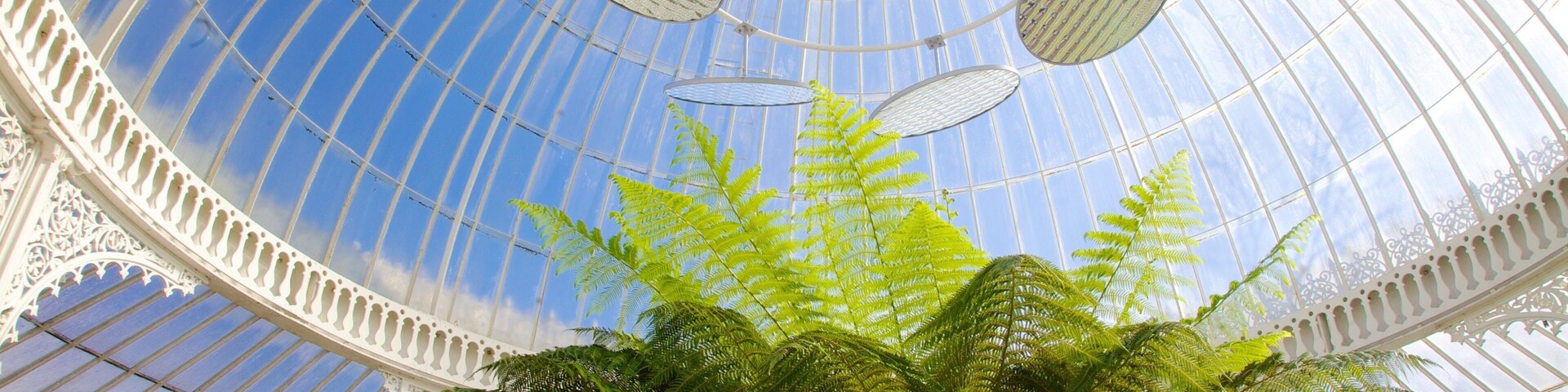 Botanic Gardens showing interior views and a garden