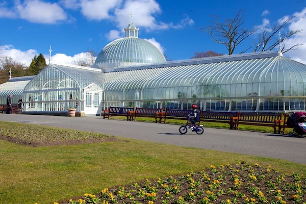 Botanisk Have som viser en have