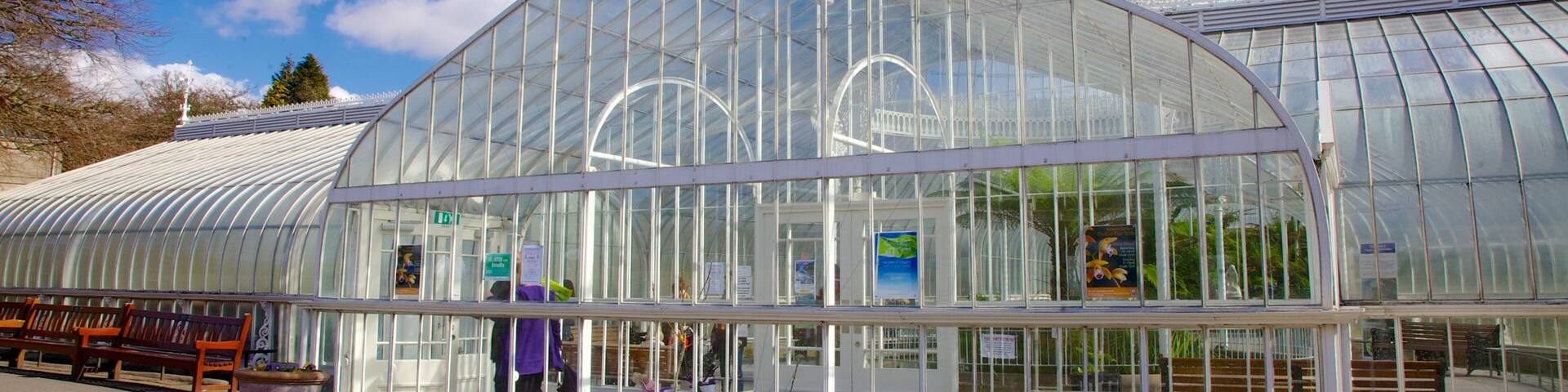 Botanic Gardens que incluye un parque