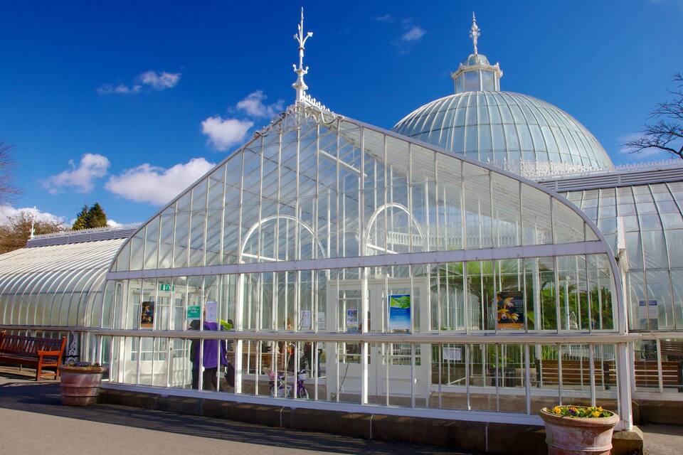 A large glass greenhouse with a dome roof, surrounded by benches and potted plants.