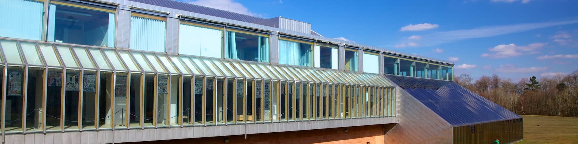 Burrell Collection which includes modern architecture