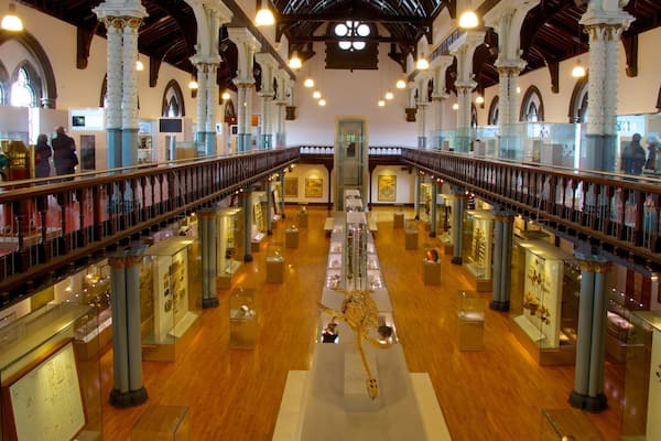 Hunterian Museum qui includes vues intérieures