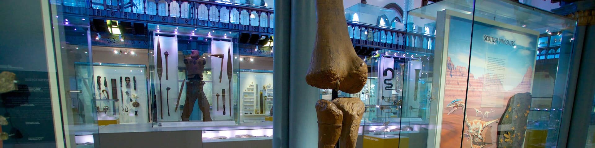 The Hunterian which includes interior views and art