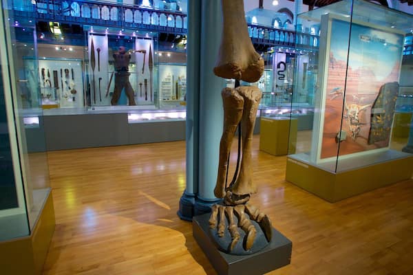 Hunterian Museum som omfatter interiør og kunst