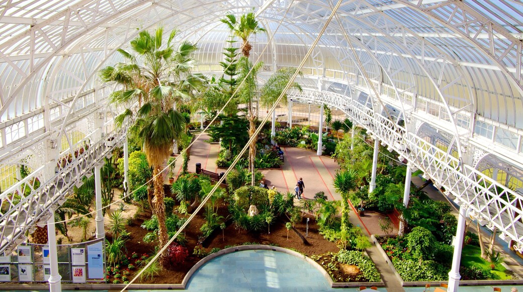 People\'s Palace and Winter Gardens showing interior views and a park