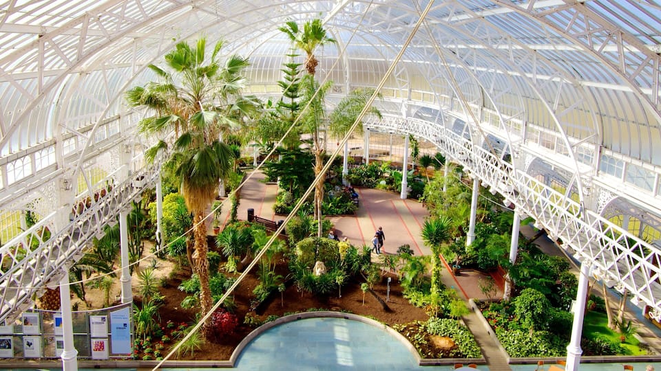 People\'s Palace and Winter Gardens showing interior views and a park