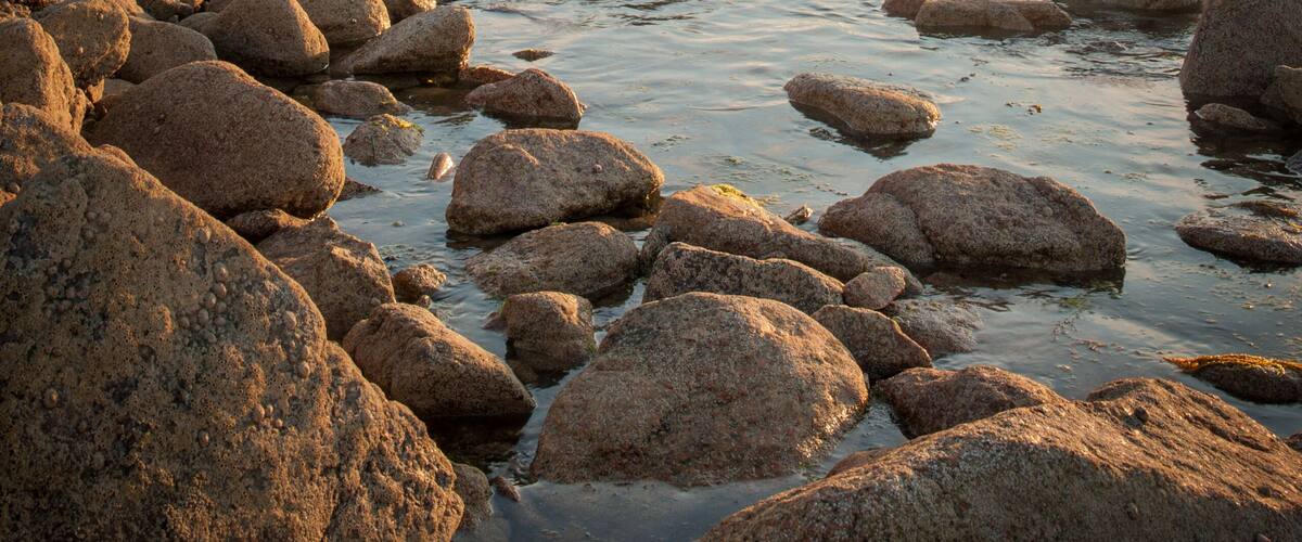 La Corbiere Lighthouse at sunset on Jersey in the Channel Islands, in the English Channel.