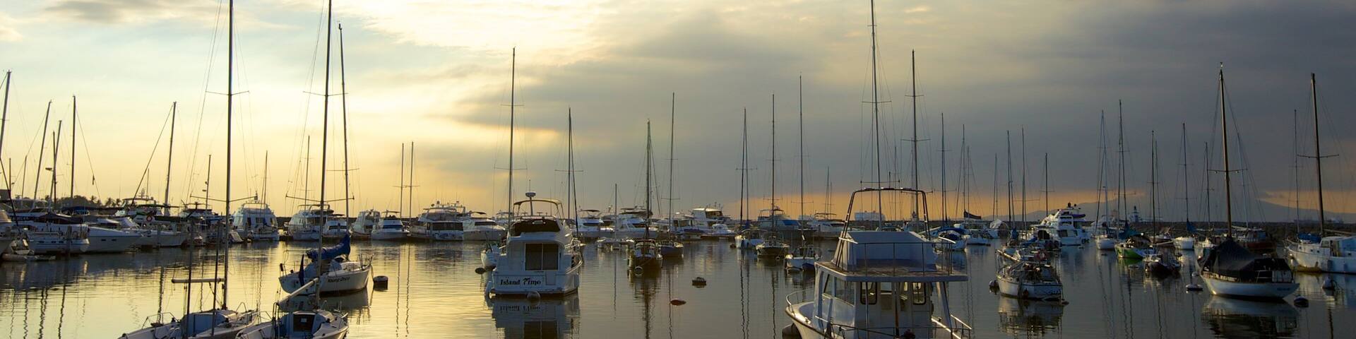Un puerto deportivo lleno de veleros y yates al atardecer.