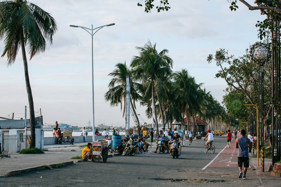 A busy street lined with palm trees and a red bike lane.