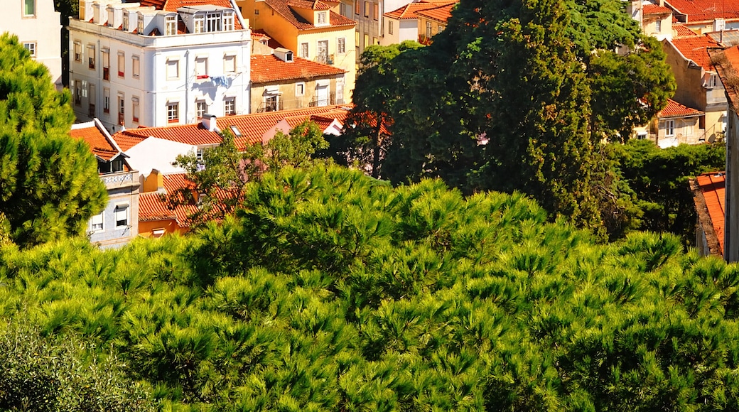 Lisbon View