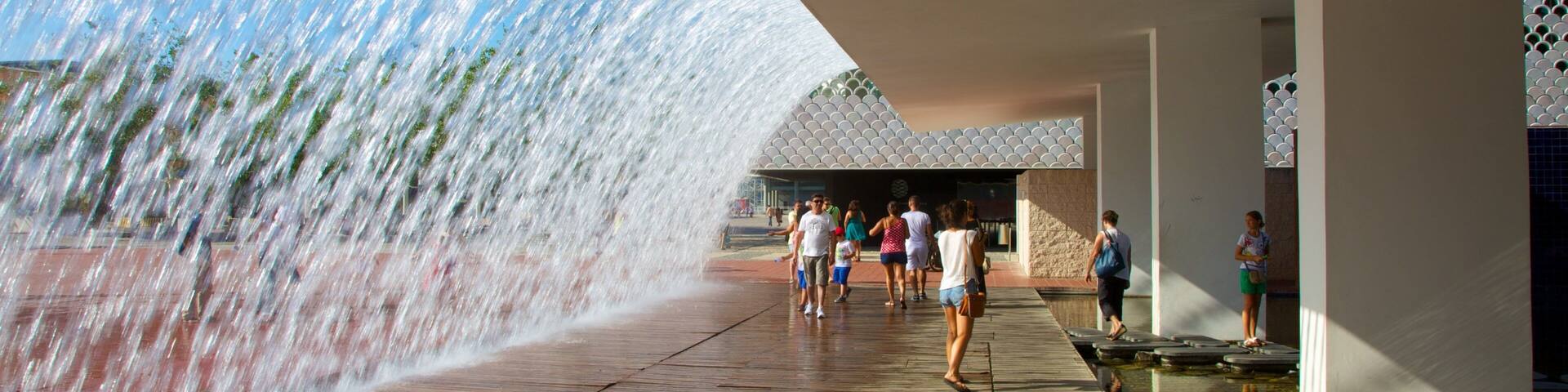 Lisbon Oceanarium which includes a fountain and marine life