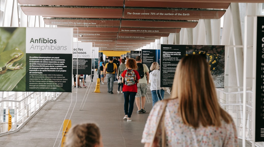 Lisbon Oceanarium which includes street scenes and signage