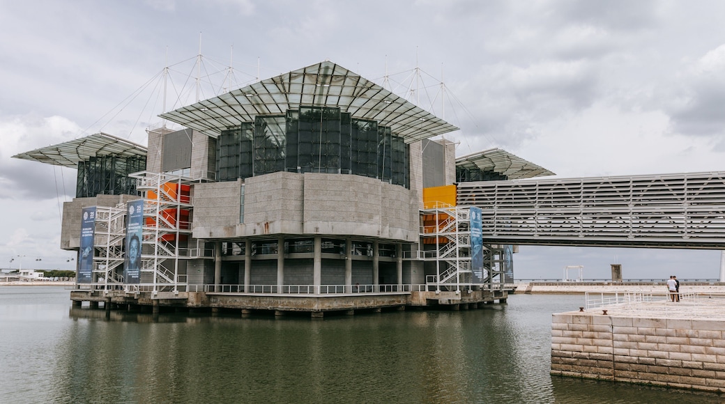 Lisbon Oceanarium which includes a bay or harbor and a bridge