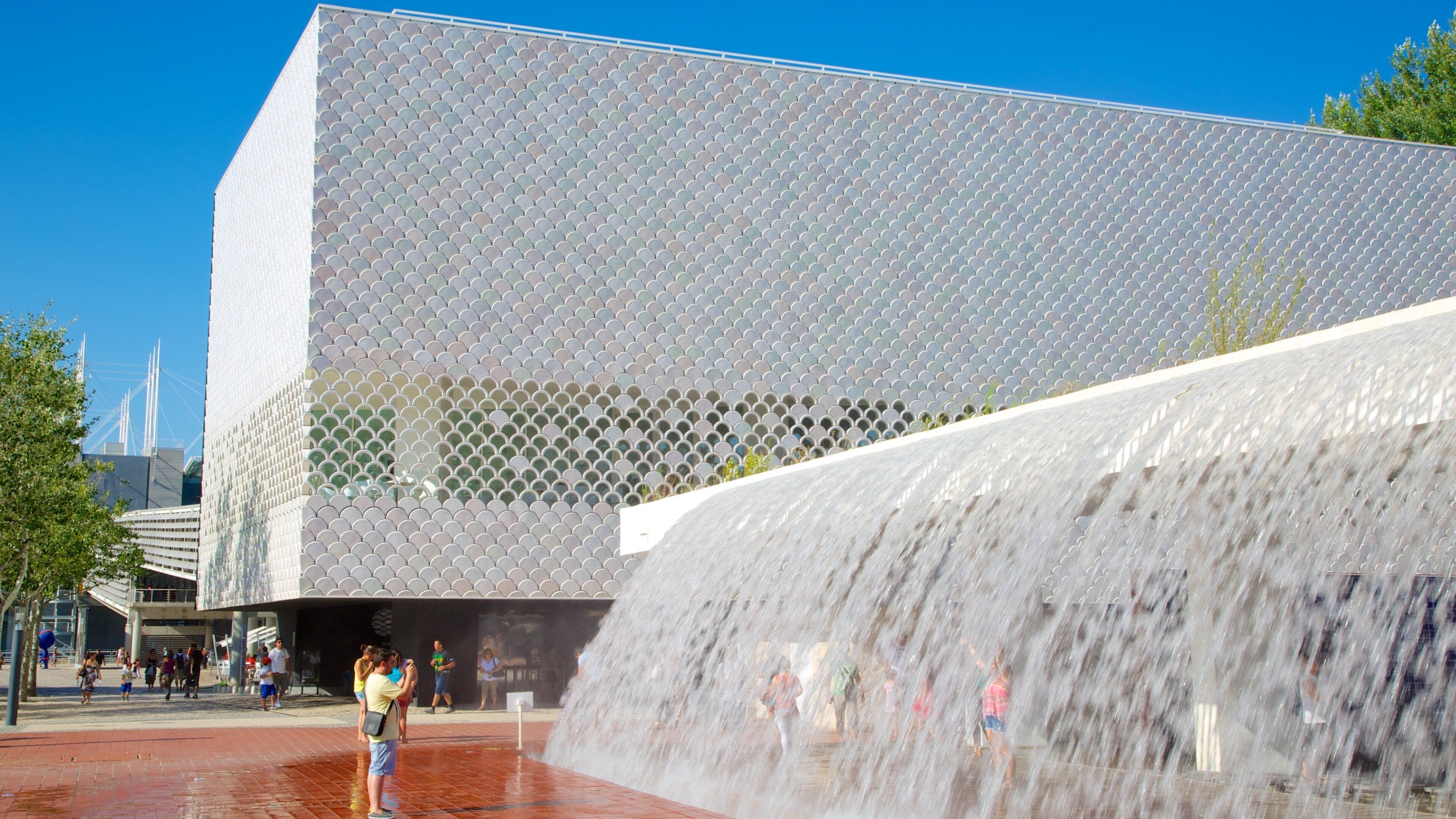 Lisboa oceanarium som inkluderer moderne arkitektur