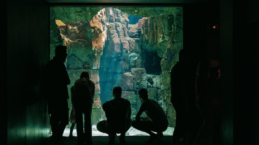 Lisbon Oceanarium featuring interior views and marine life as well as a small group of people