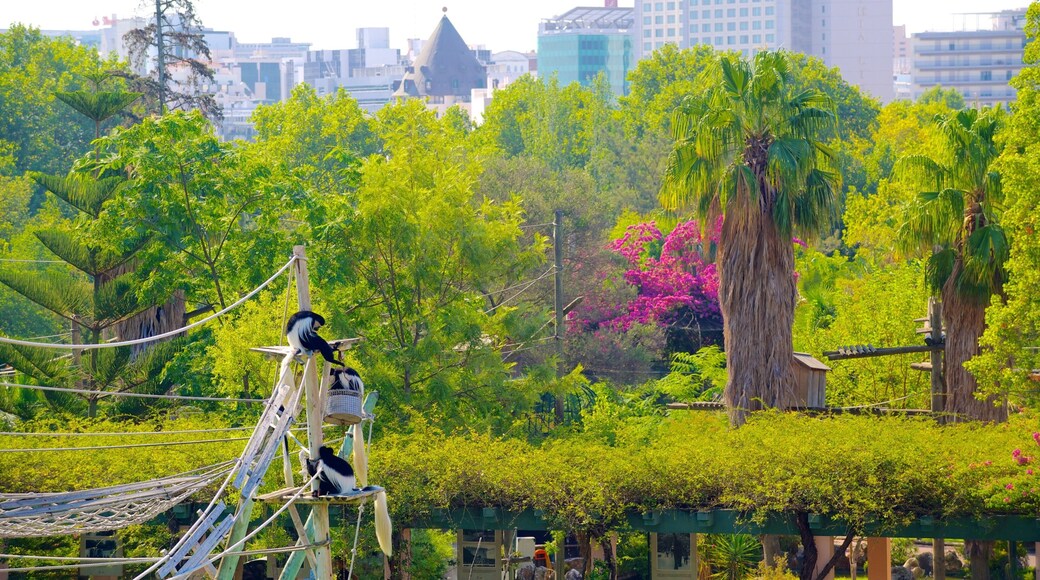 Lisbon Zoo which includes zoo animals