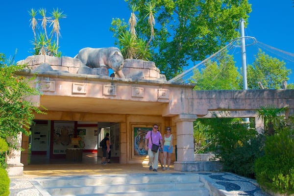 Zoo de Lisbonne mettant en vedette animaux de zoo aussi bien que couple