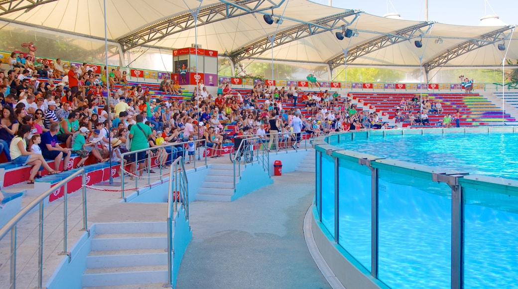 里斯本動物園 设有 動物園的動物 以及 大群人