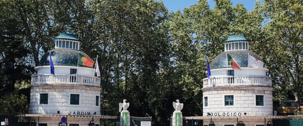 EyeEm Custom Shoots Q4 2018