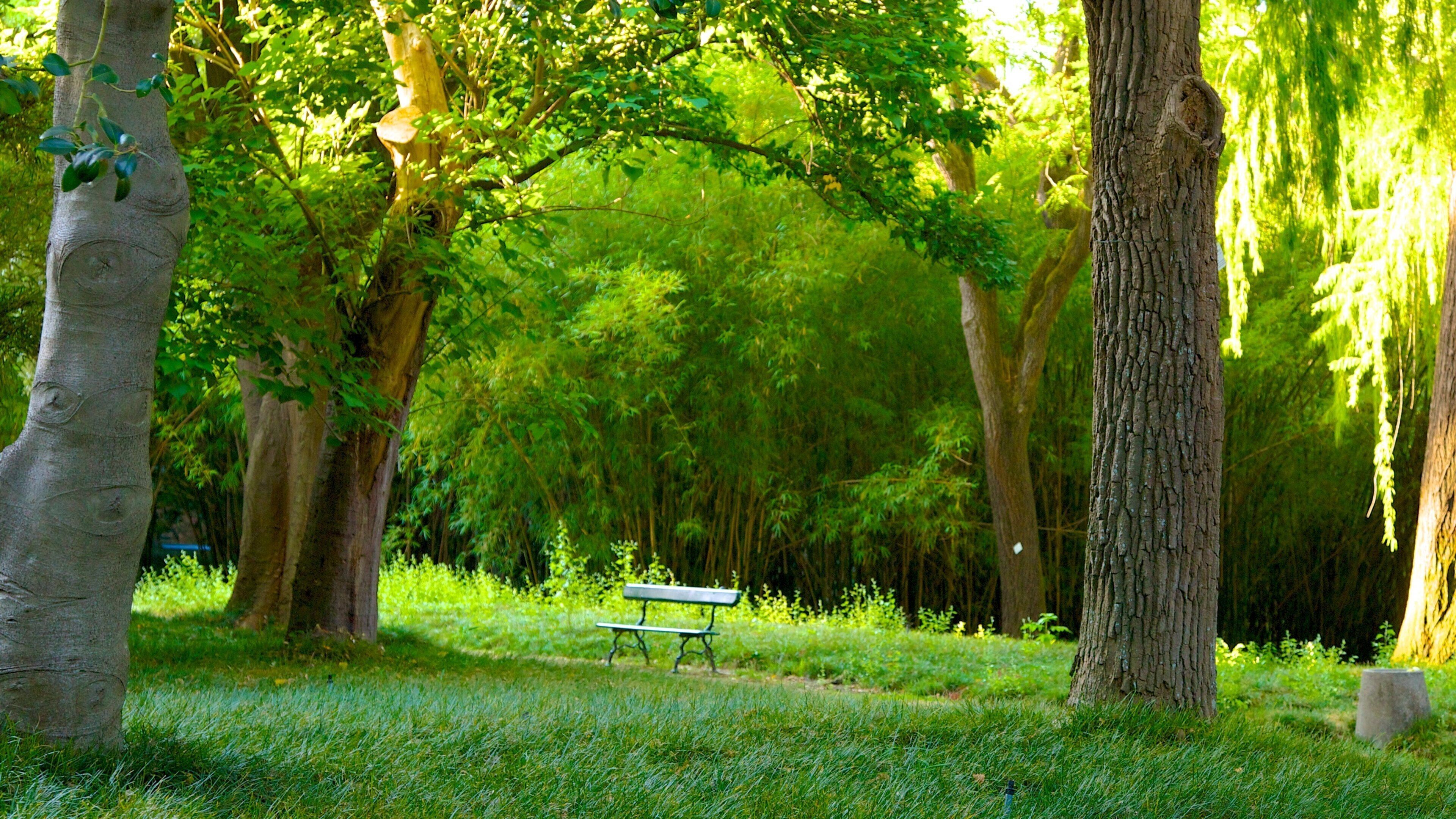 Botanical Garden showing a park