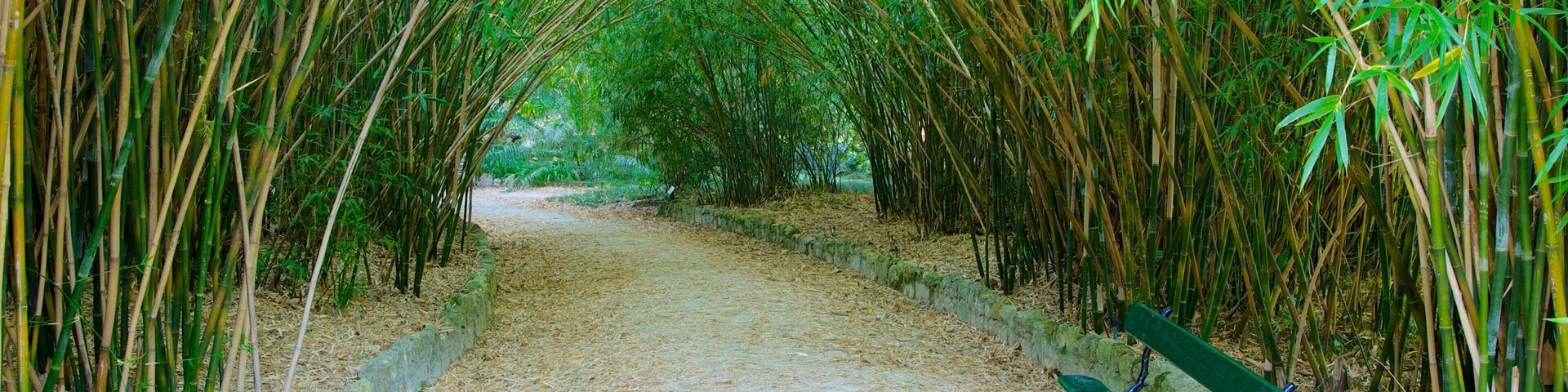 植物園 设有 花園