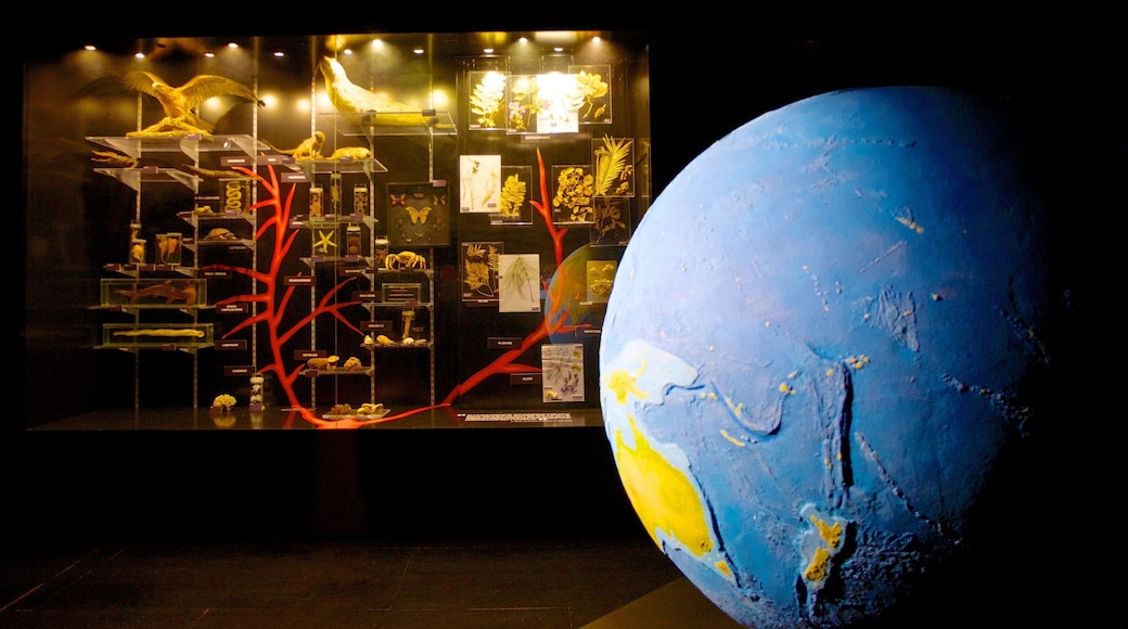 National Museum of Natural History which includes interior views