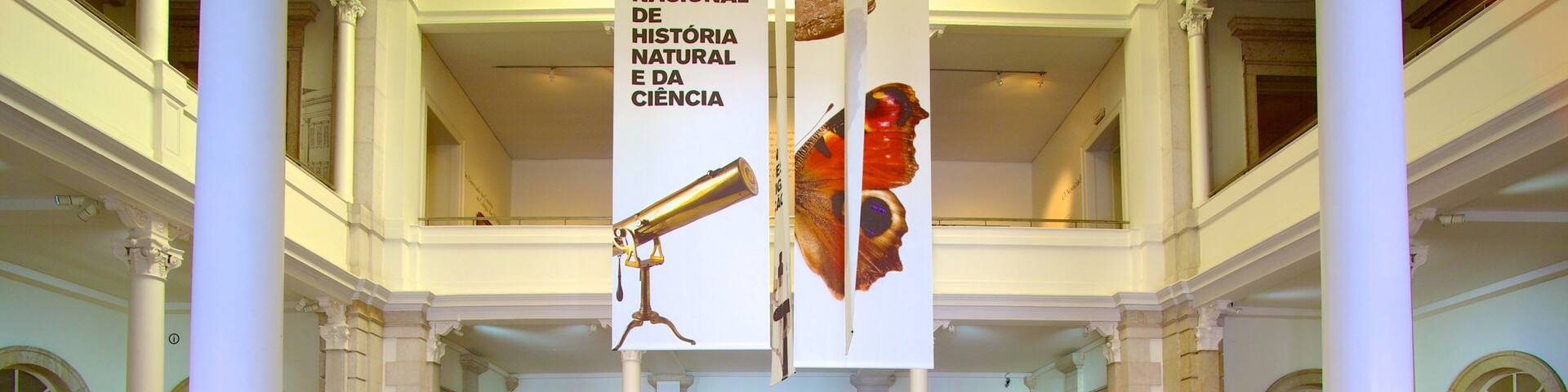 National Museum of Natural History que incluye patrimonio de arquitectura, señalización y vistas interiores