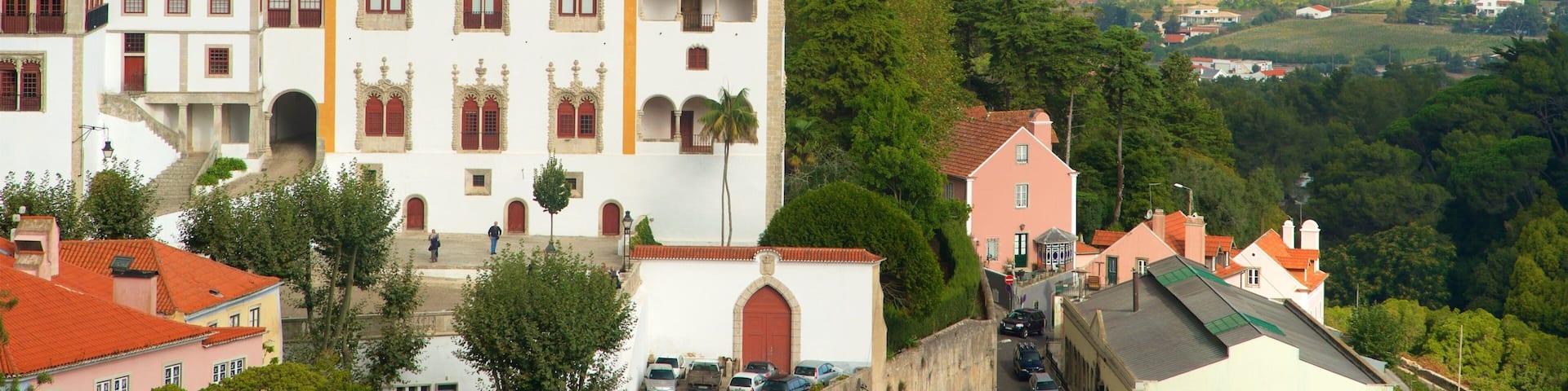 Sintra National Palace showing tranquil scenes