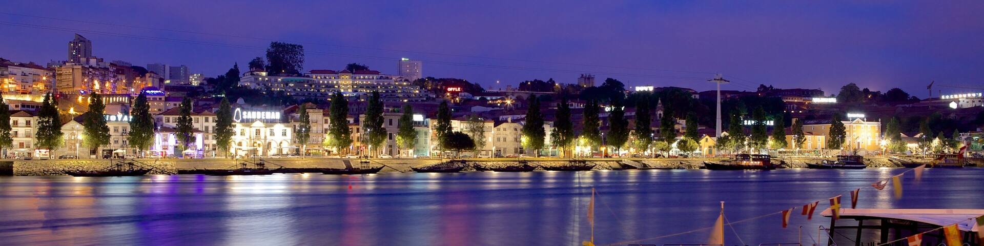 Dom Luis I Bridge featuring a coastal town, boating and night scenes