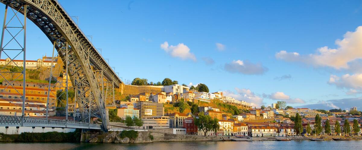 Dom Luis I Bridge which includes a bridge, a suspension bridge or treetop walkway and a coastal town