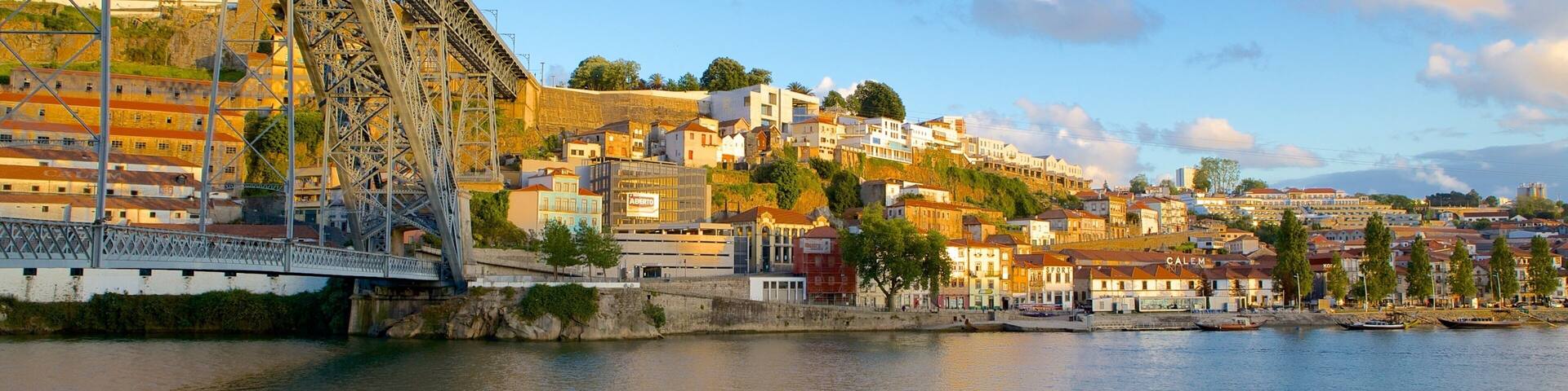 Dom Luis I Bridge which includes a bridge, a suspension bridge or treetop walkway and a coastal town
