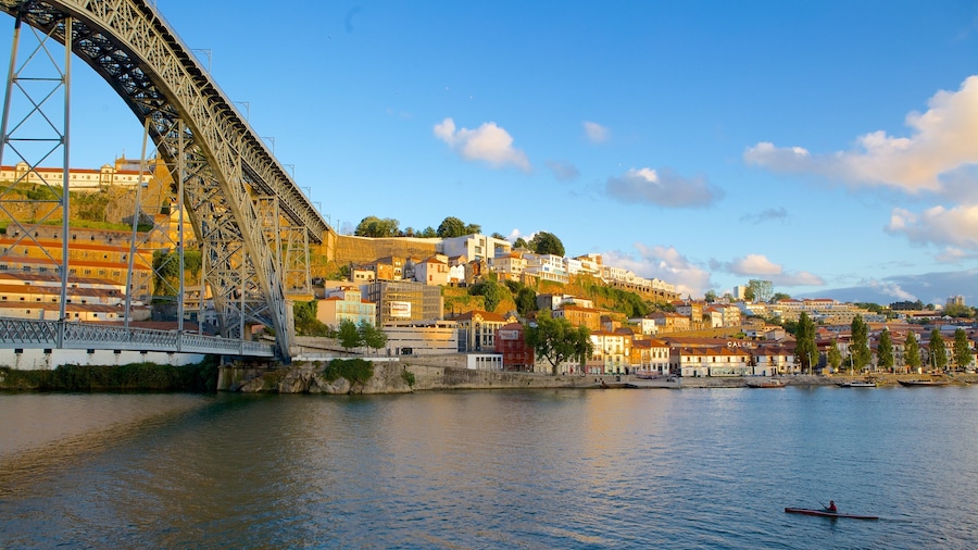 Dom Luis I Bridge which includes a bridge, a suspension bridge or treetop walkway and a coastal town