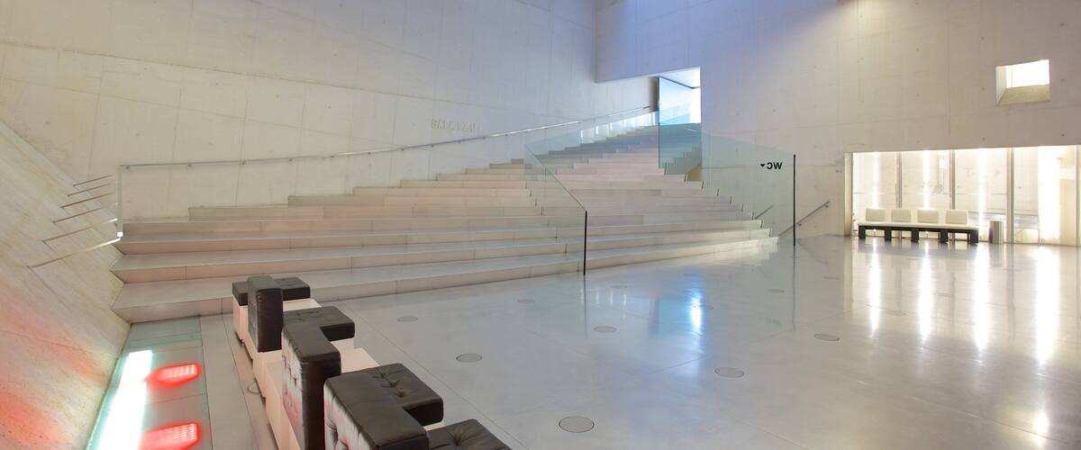 Casa da Musica featuring interior views