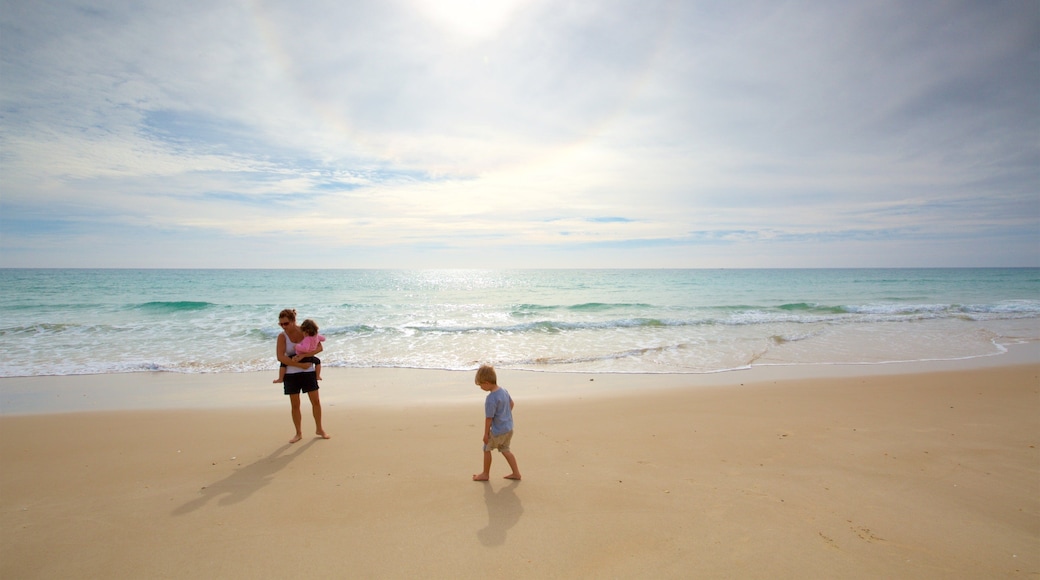 Plage de l\'Ăźle Faro qui includes vues littorales et plage de sable aussi bien que famille