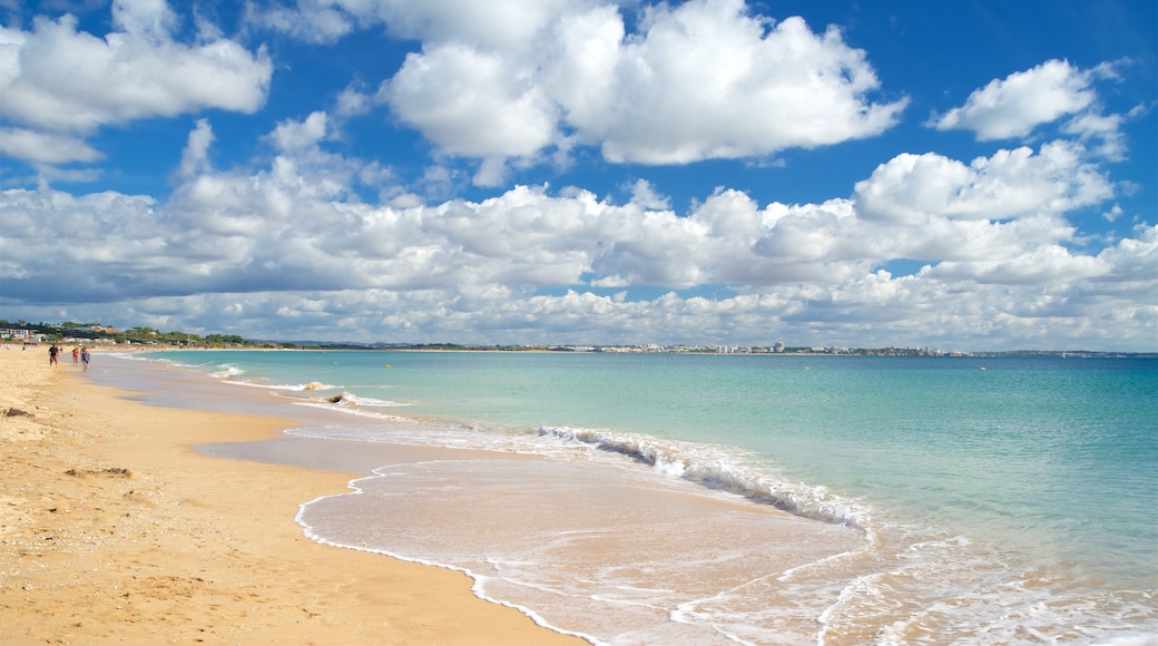 Meia Beach featuring a beach and general coastal views