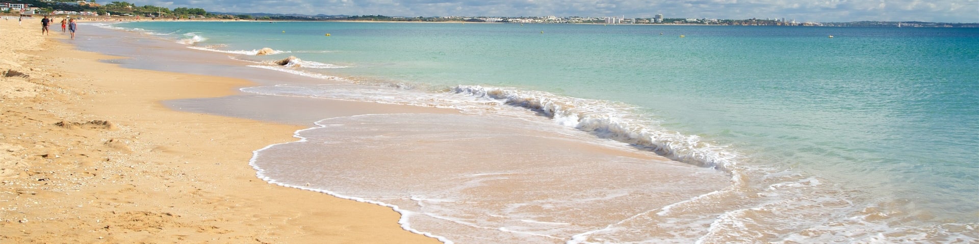Meia Beach featuring a beach and general coastal views