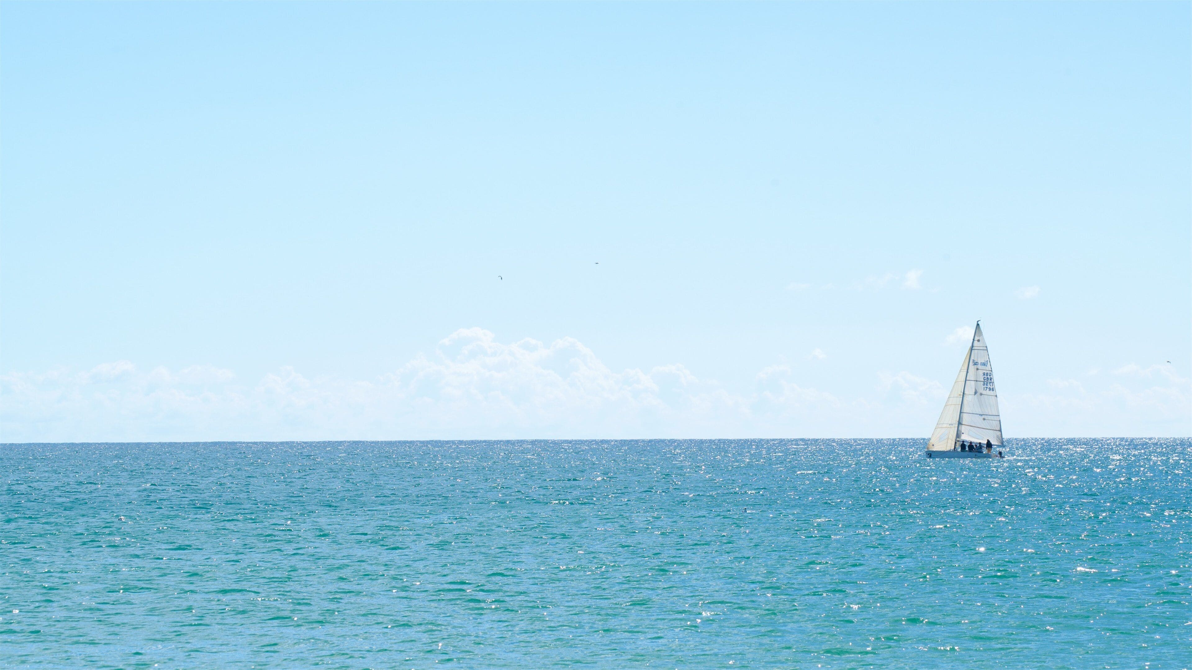 Meia Praia Beach showing general coastal views and boating