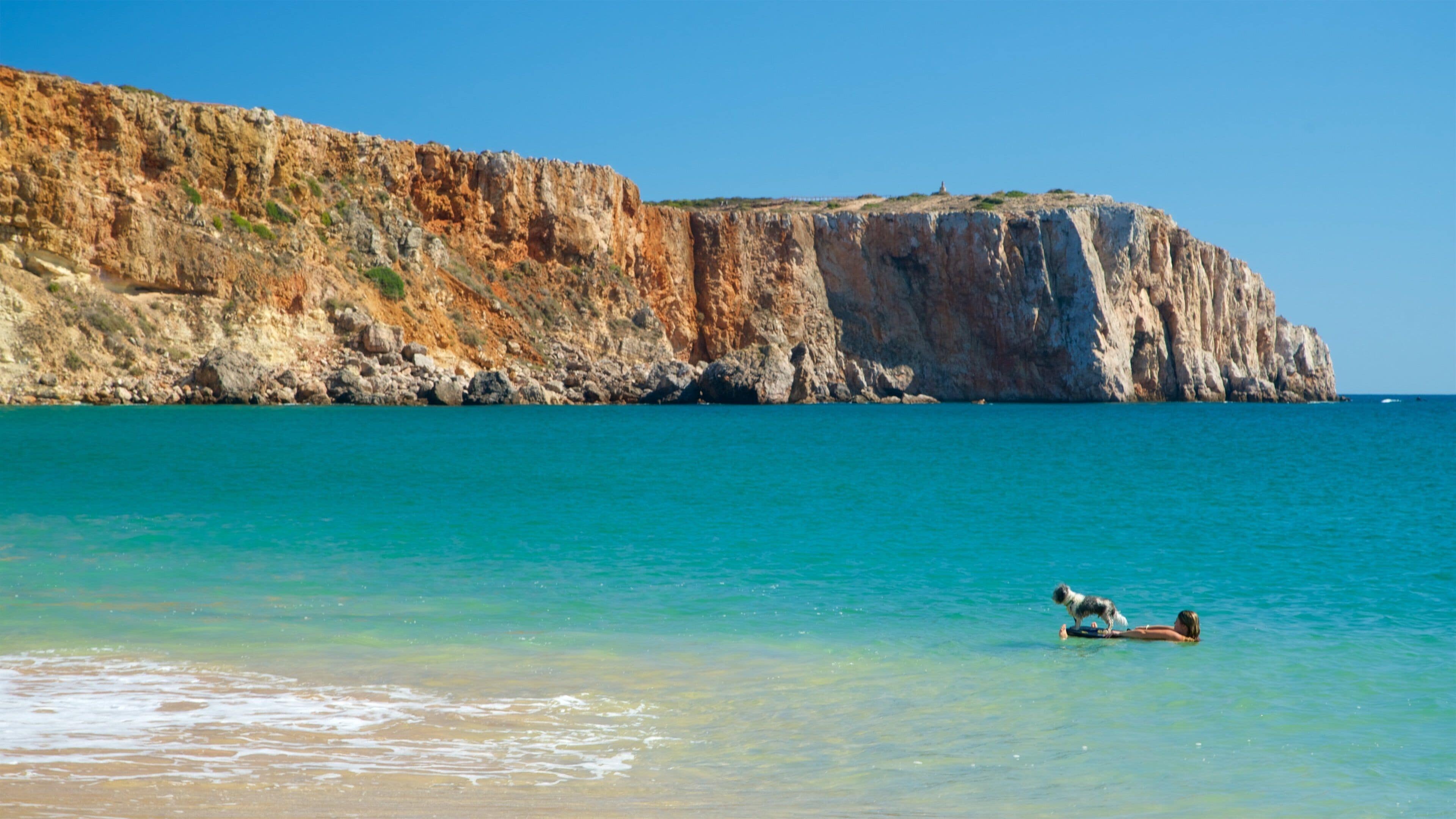 Mareta Beach showing swimming, cuddly or friendly animals and rocky coastline