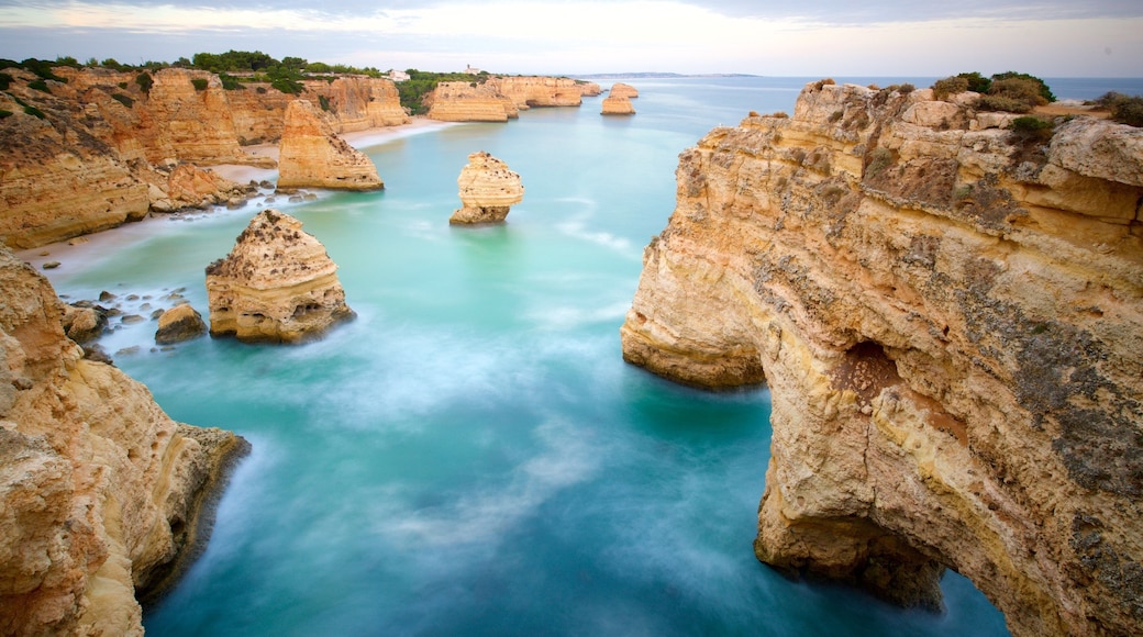 마리냐 비치 을 특징 일반 해안 전경 과 울퉁불퉁한 해안선